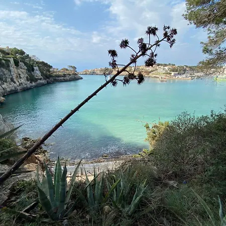 Apartment De Majorque Portocristo Porto Cristo