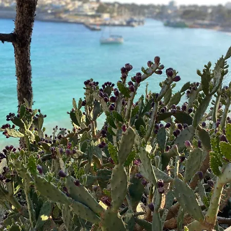 De Majorque Portocristo *